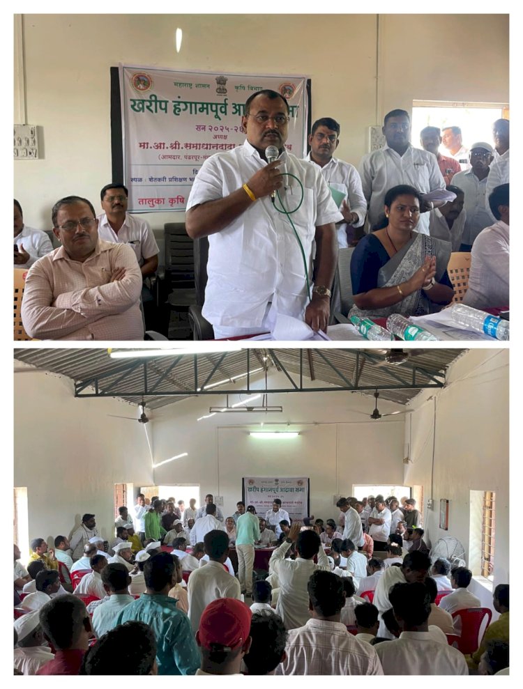 आठ दिवसात पिक विमा संदर्भातील सर्व तक्रारींचा निपटारा करा आमदार समाधान अवताडे यांचा विमा अधिकाऱ्यांना इशारा.